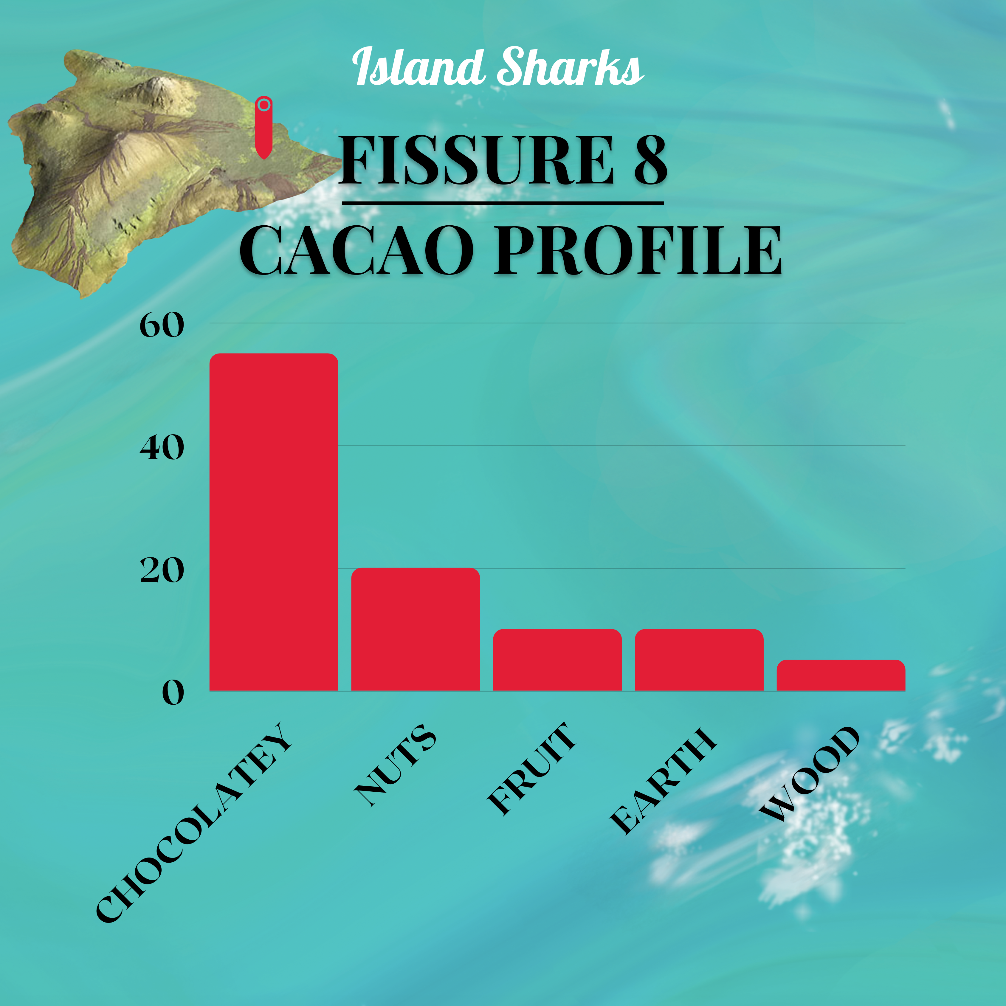 100% Hawaiian Ceremonial Cacao-12