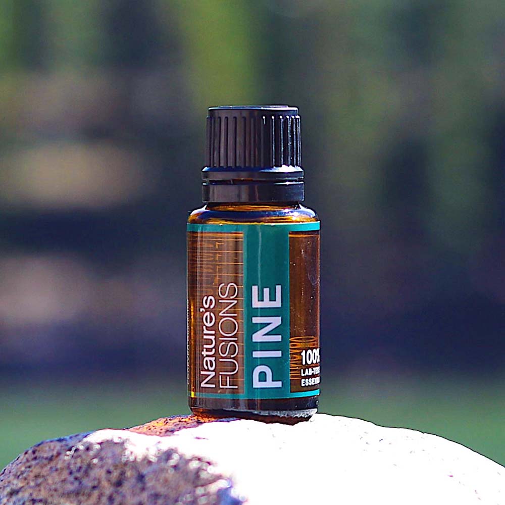 Pine Pure Essential Oil - 15ml