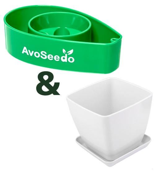- AvoSeedo Plant Pot Set --0