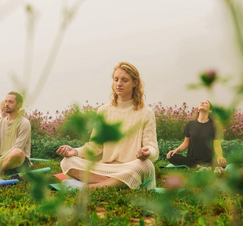 Gaia Herbs Ashwagandha Root, 120 ct