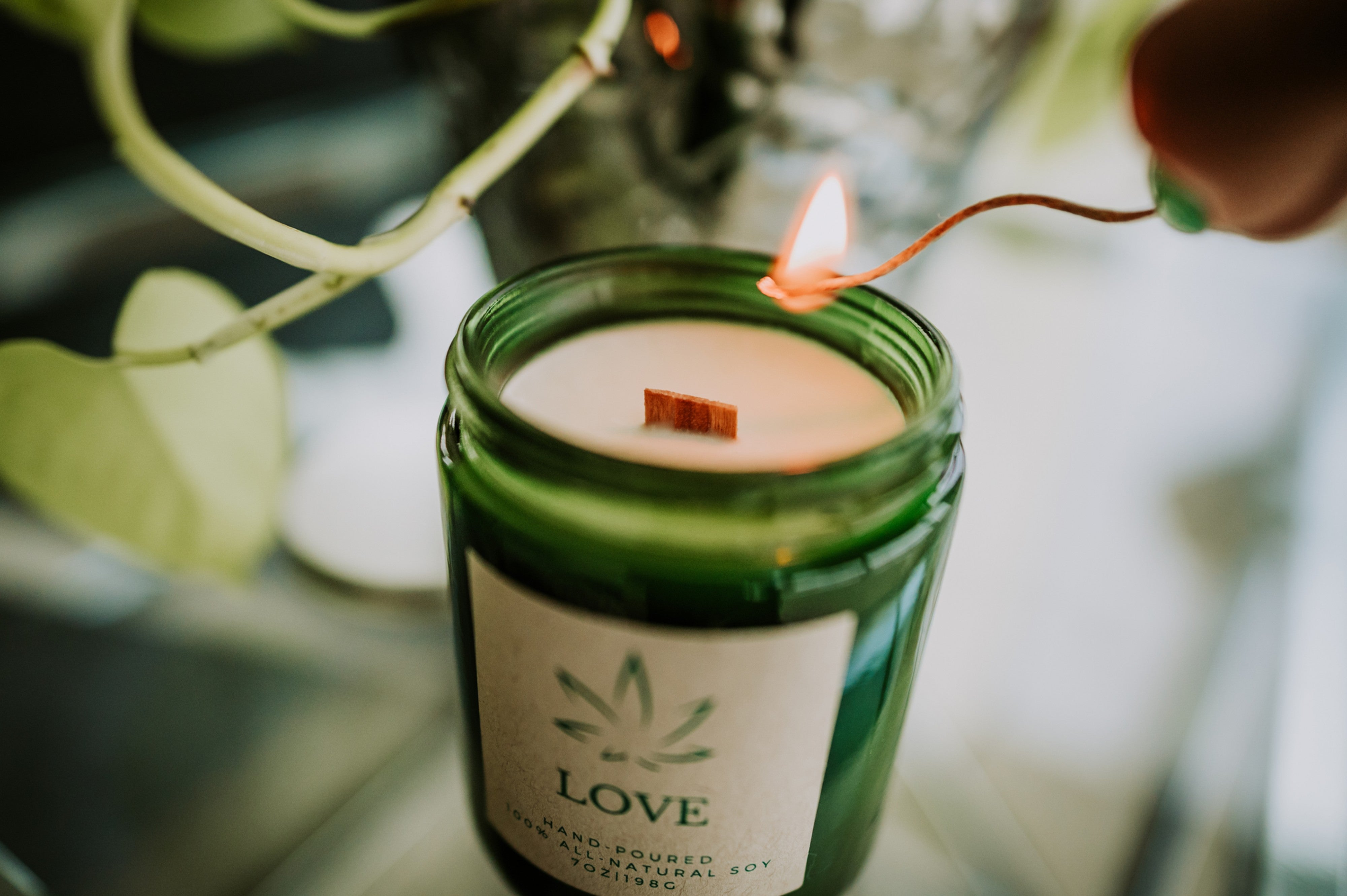 100% All-Natural Soy Candles-3