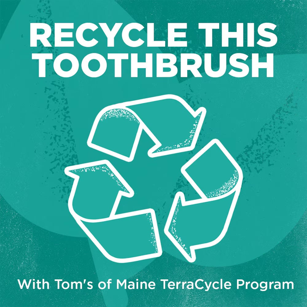 Gentle Charcoal Toothbrush 6 Pack