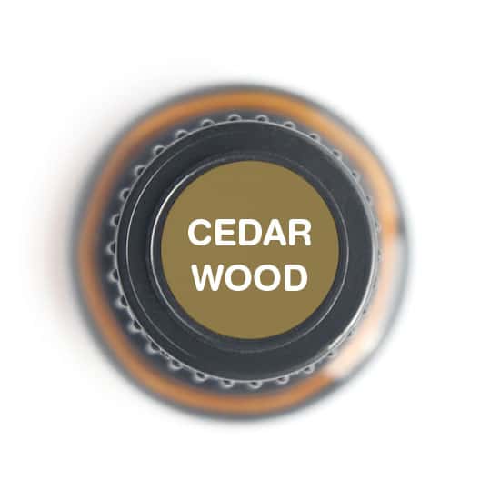 Cedarwood Essential Oil - 15ml