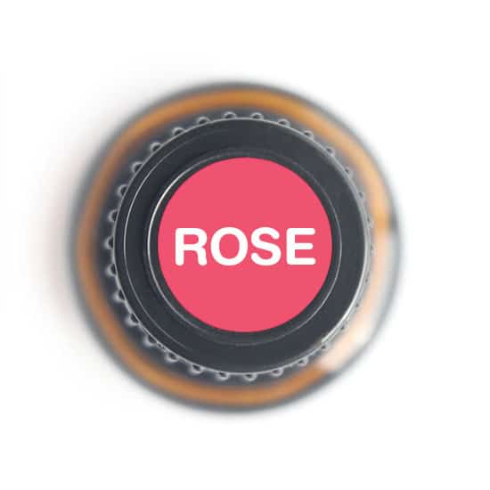 Rose Absolute Essential Oil - 5ml