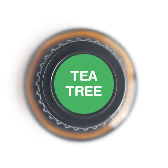 Tea Tree Pure Essential Oil - 15ml