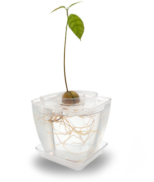 - AvoSeedo Plant Pot Set --8