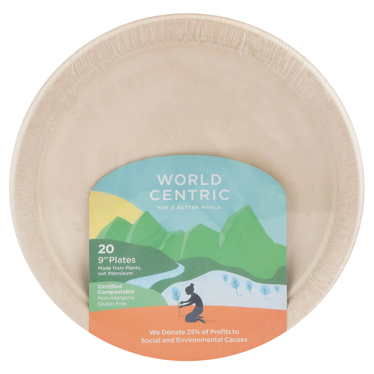 World Centric Fiber Plate 9In (12x20 CT)-2