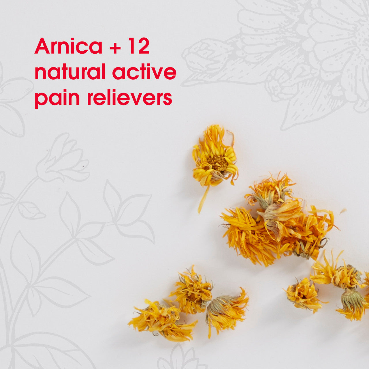 TRELIEF ARNCA12 PAIN RLF ( 1 X 100 TAB  )-4