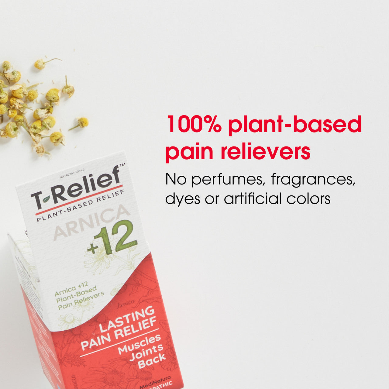 TRELIEF ARNCA12 PAIN RLF ( 1 X 100 TAB  )-6