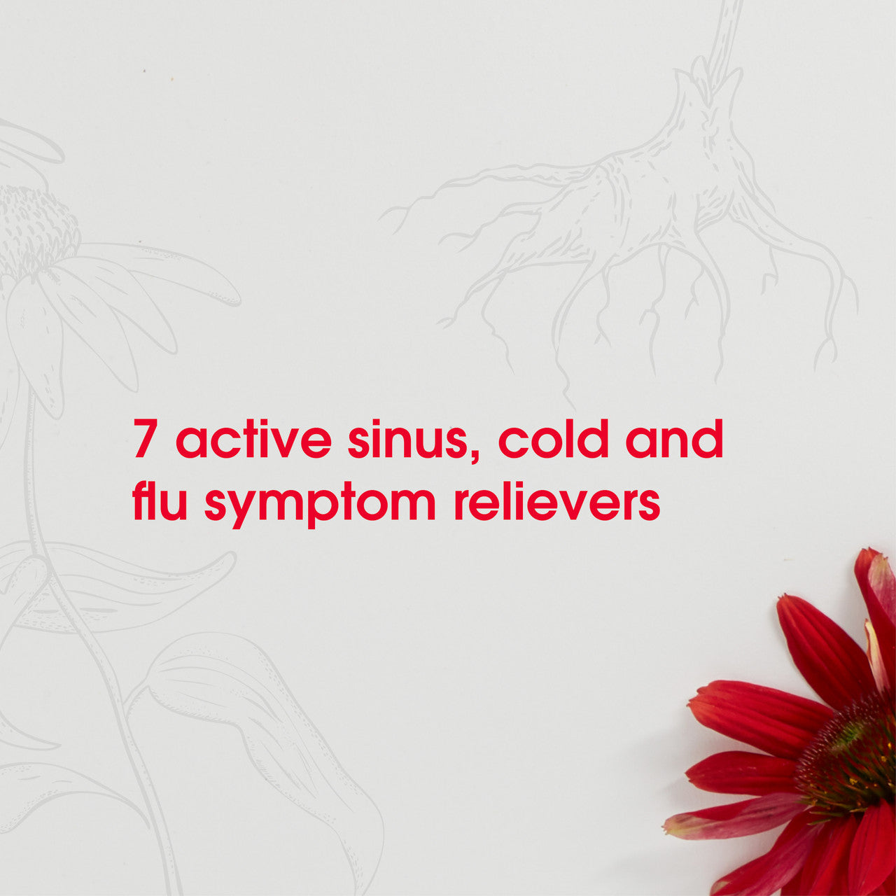 REBOOST DECONGESTION SPY ( 1 X 20 ML   )-3