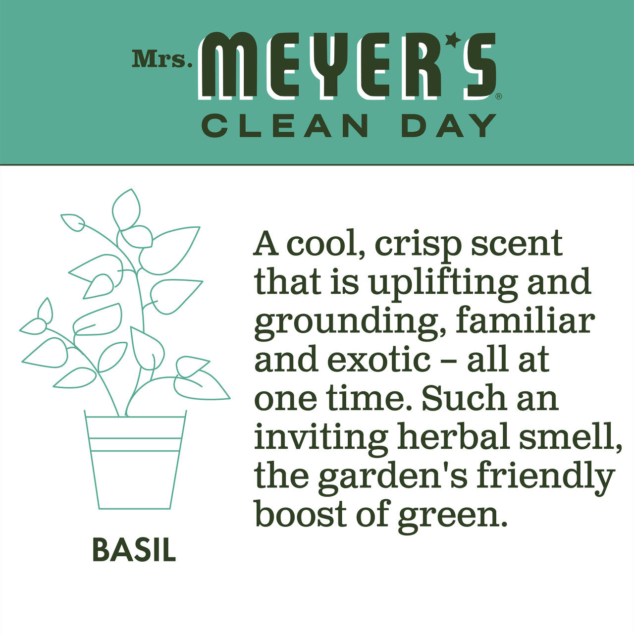 Meyers Basil Liquid Hand Soap (6x12.5 Oz)-5