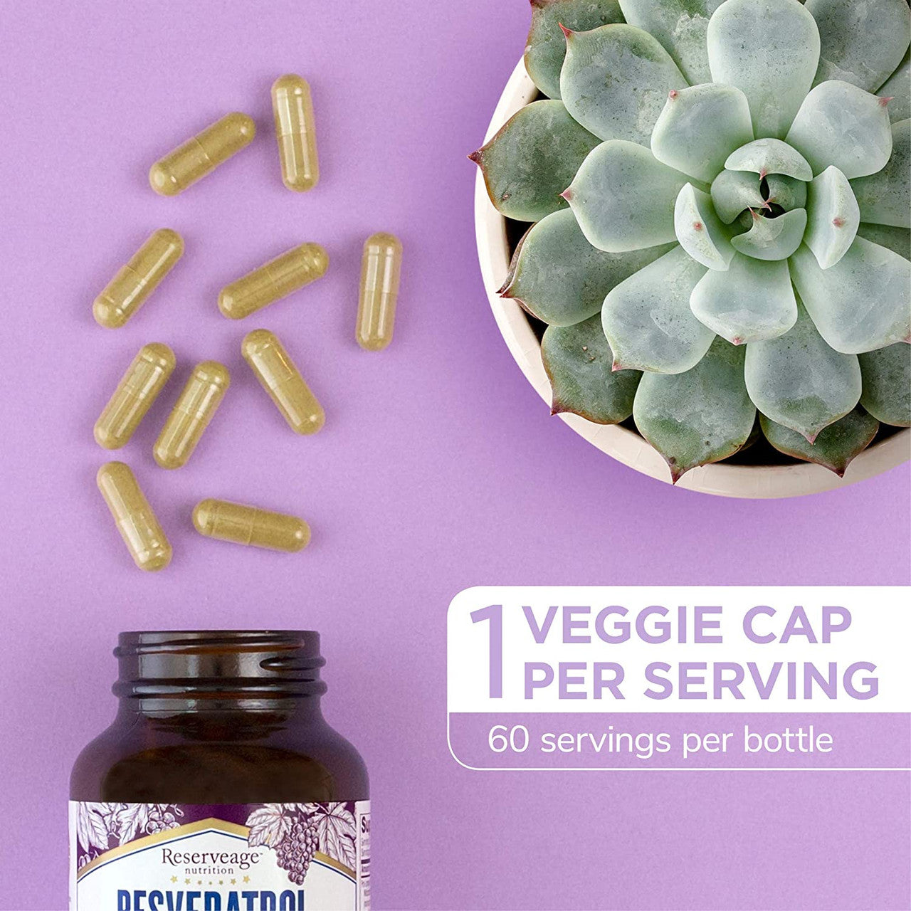 RSRVEAGE RESVERATROL 500 (1x60.00)-6