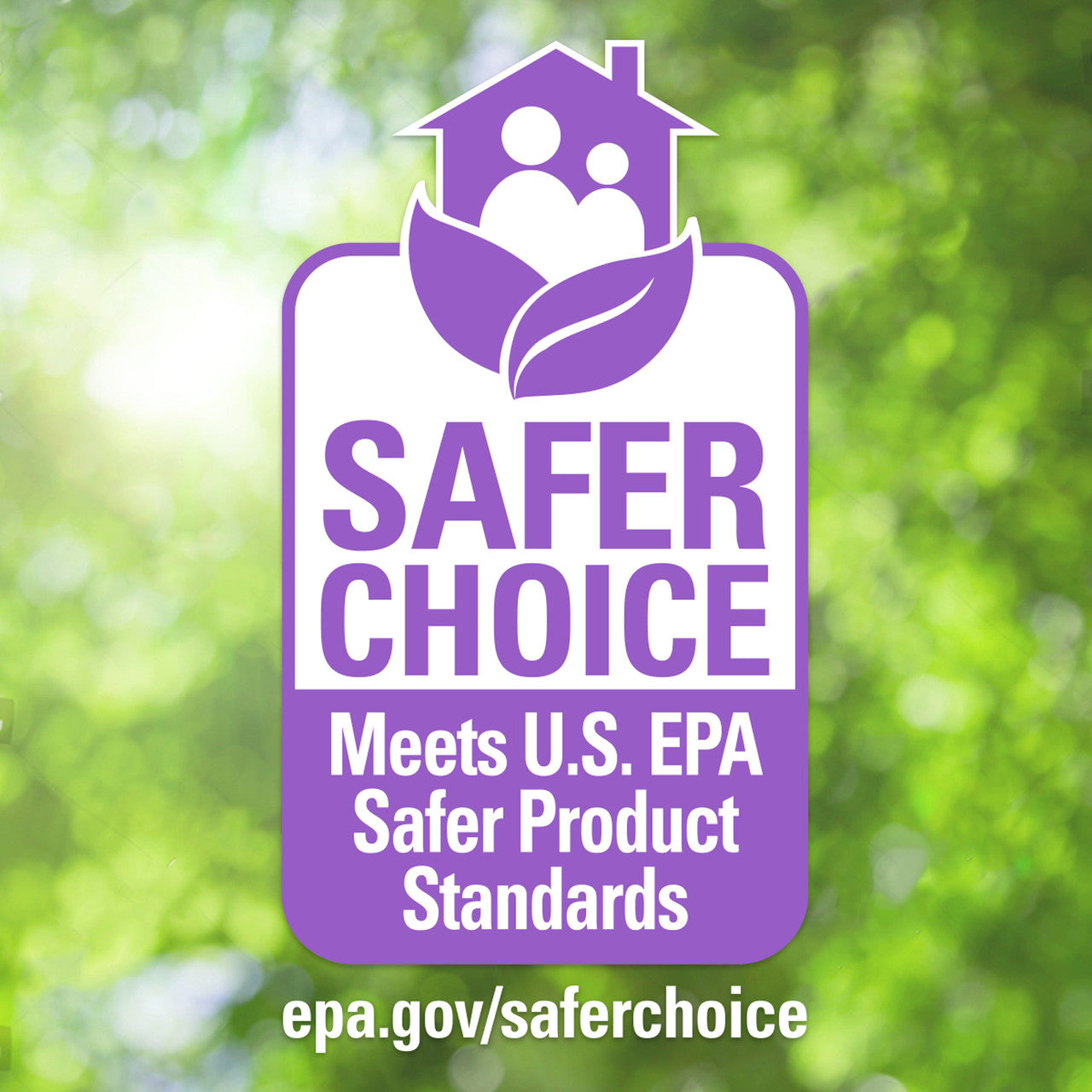 BK DISH LIQ LVNDR LILY ( 6 X 25 OZ   )-2