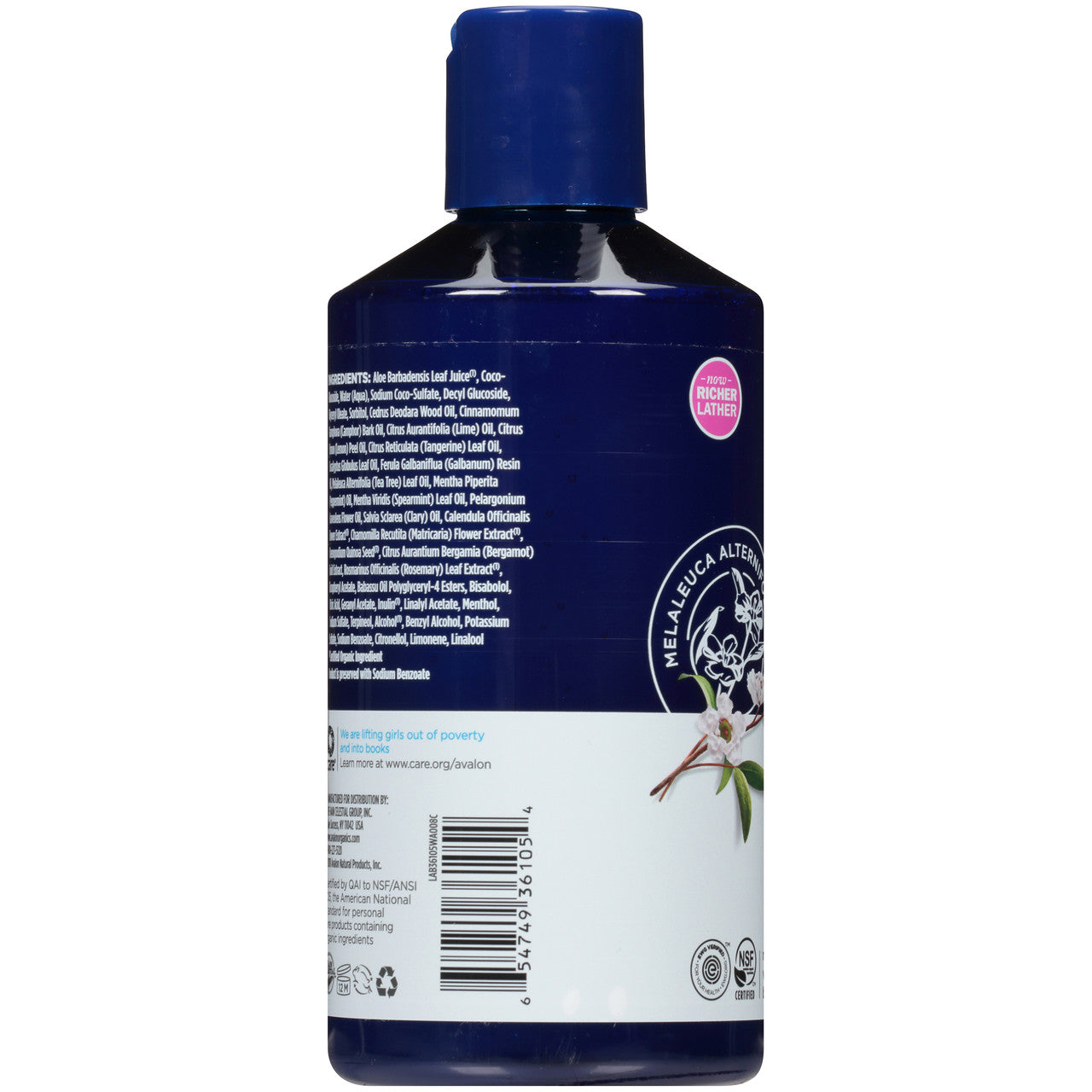 Avalon Tea Tree Treatment Shampoo (1x14 Oz)-1