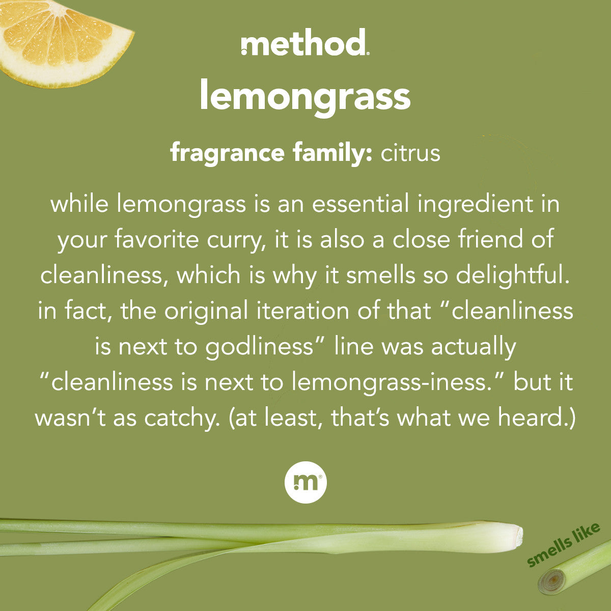 MTHD HEAVY DTY DEGREASER ( 8 X 28 OZ )-2