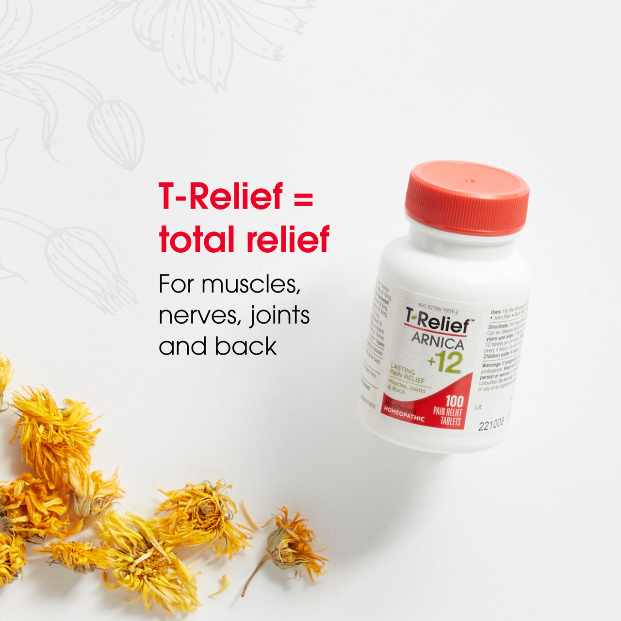 TRELIEF ARNCA12 PAIN RLF ( 1 X 100 TAB  )-2