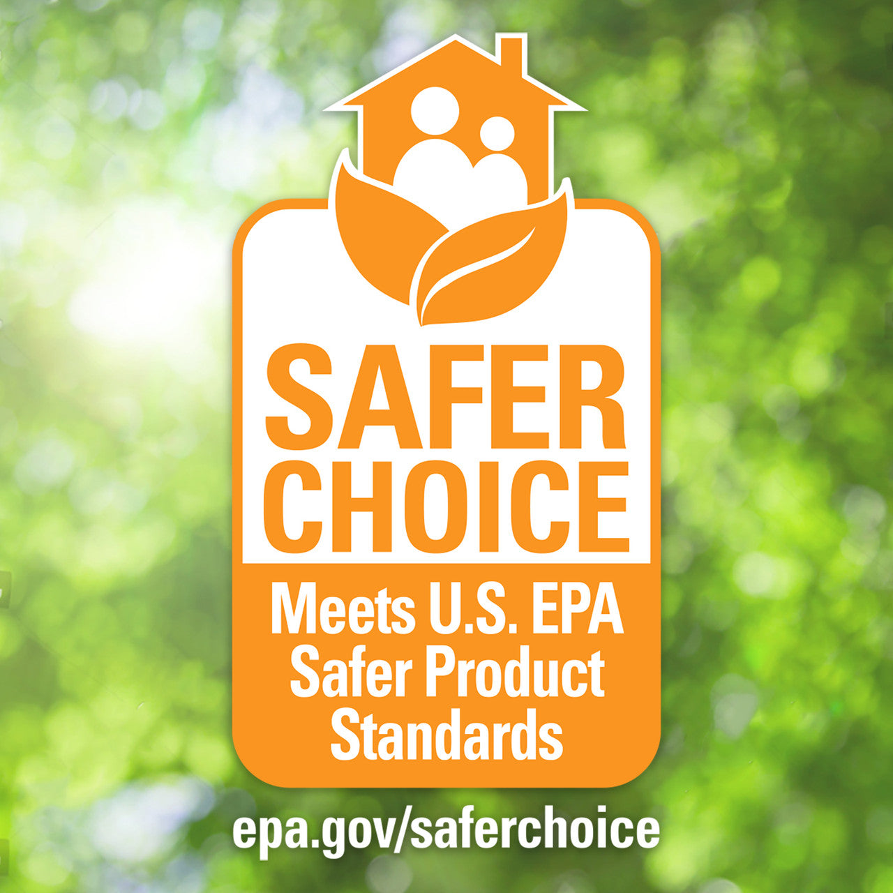 Biokleen Natural Dish Liquid Citrus & Aloe (6x25 OZ)-2