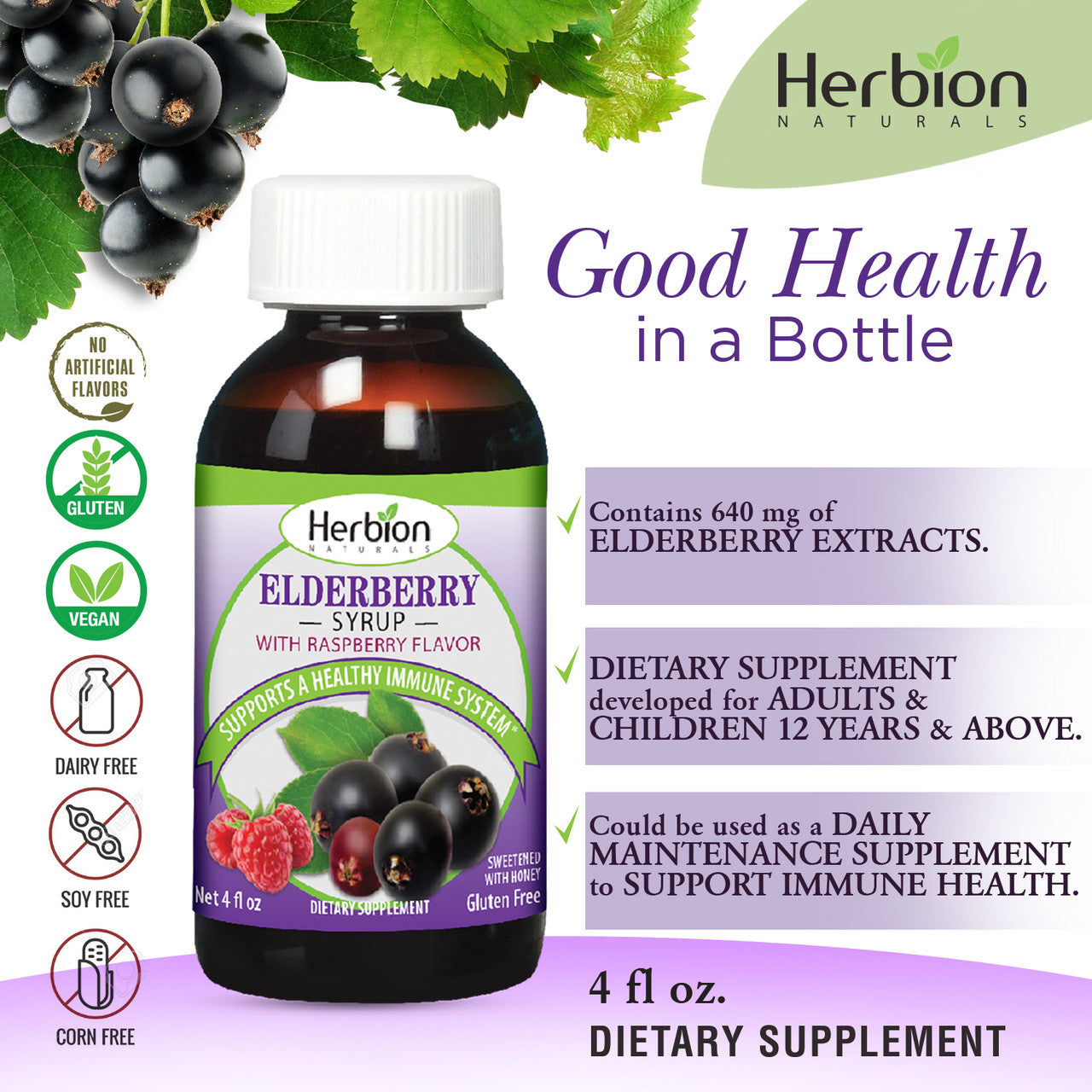H.N. ELDERBERRY SYRUP ( 1 X 4 OZ   )-4