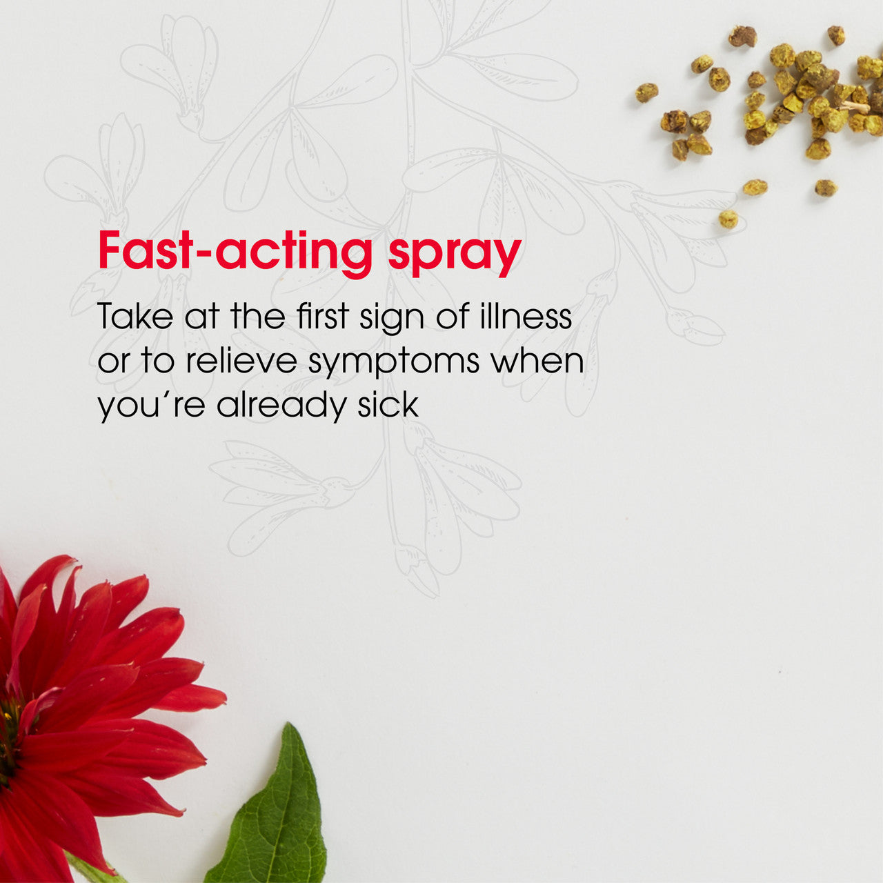 REBOOST DECONGESTION SPY ( 1 X 20 ML   )-2