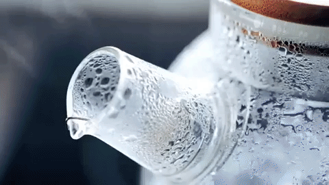 Thermo Glass Teapot 54 Fl Oz | High temperature and shock resistant-9