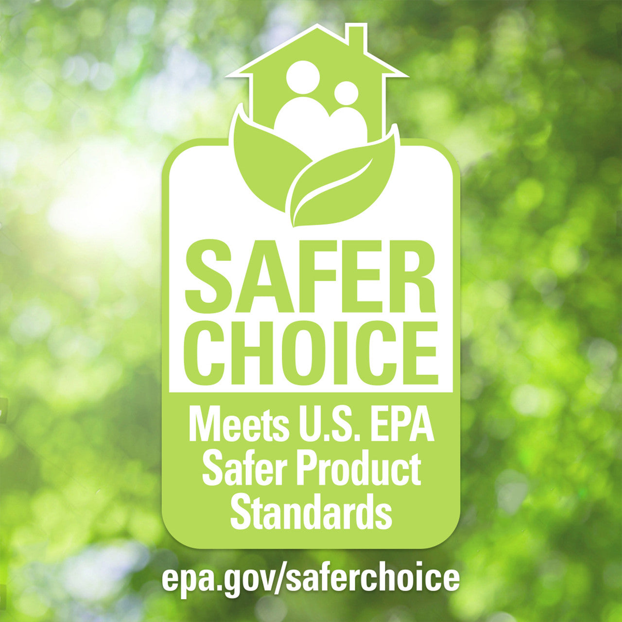 Biokleen Lemon Thyme Natural Dish Liquid (6x25 OZ)-2