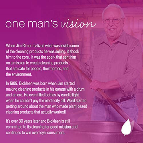 BK DISH SOAP PWDR,FR/CLR ( 6 X 2 LB   )-8