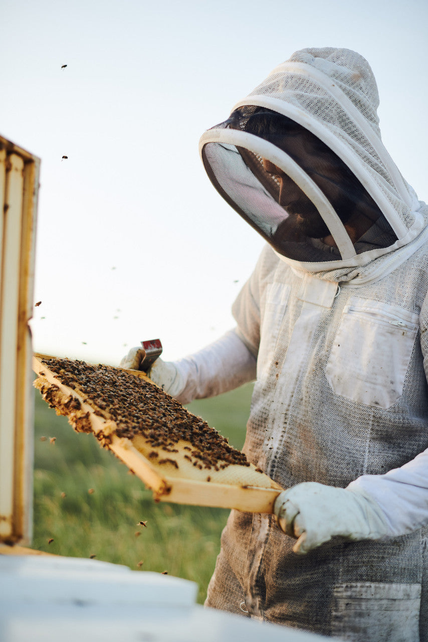 HHNY MONTANA HONEY SQZ ( 6 X 1 LB   )-1