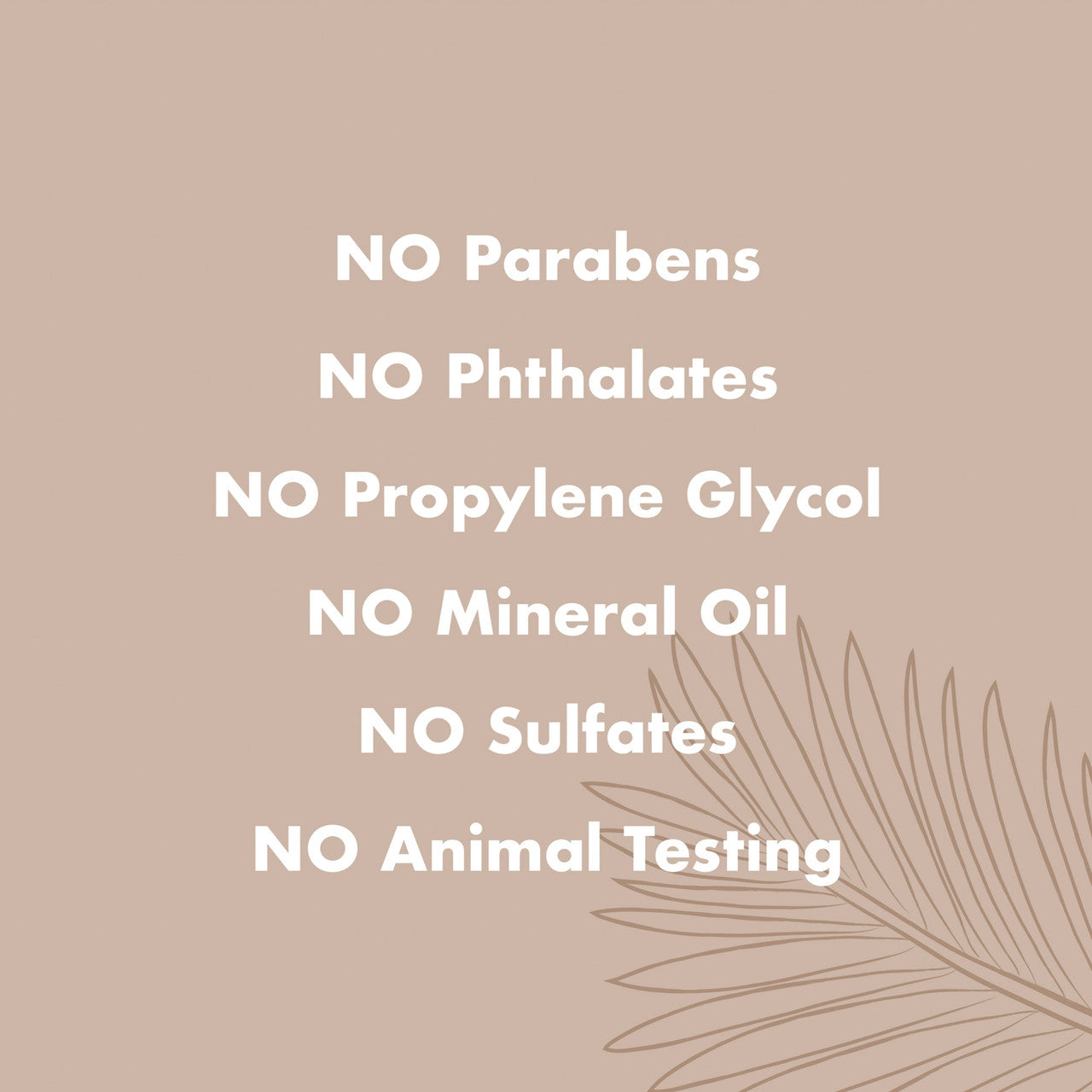 SHEMOIST BDY CNUT OIL ( 1 X 13 OZ   )-3