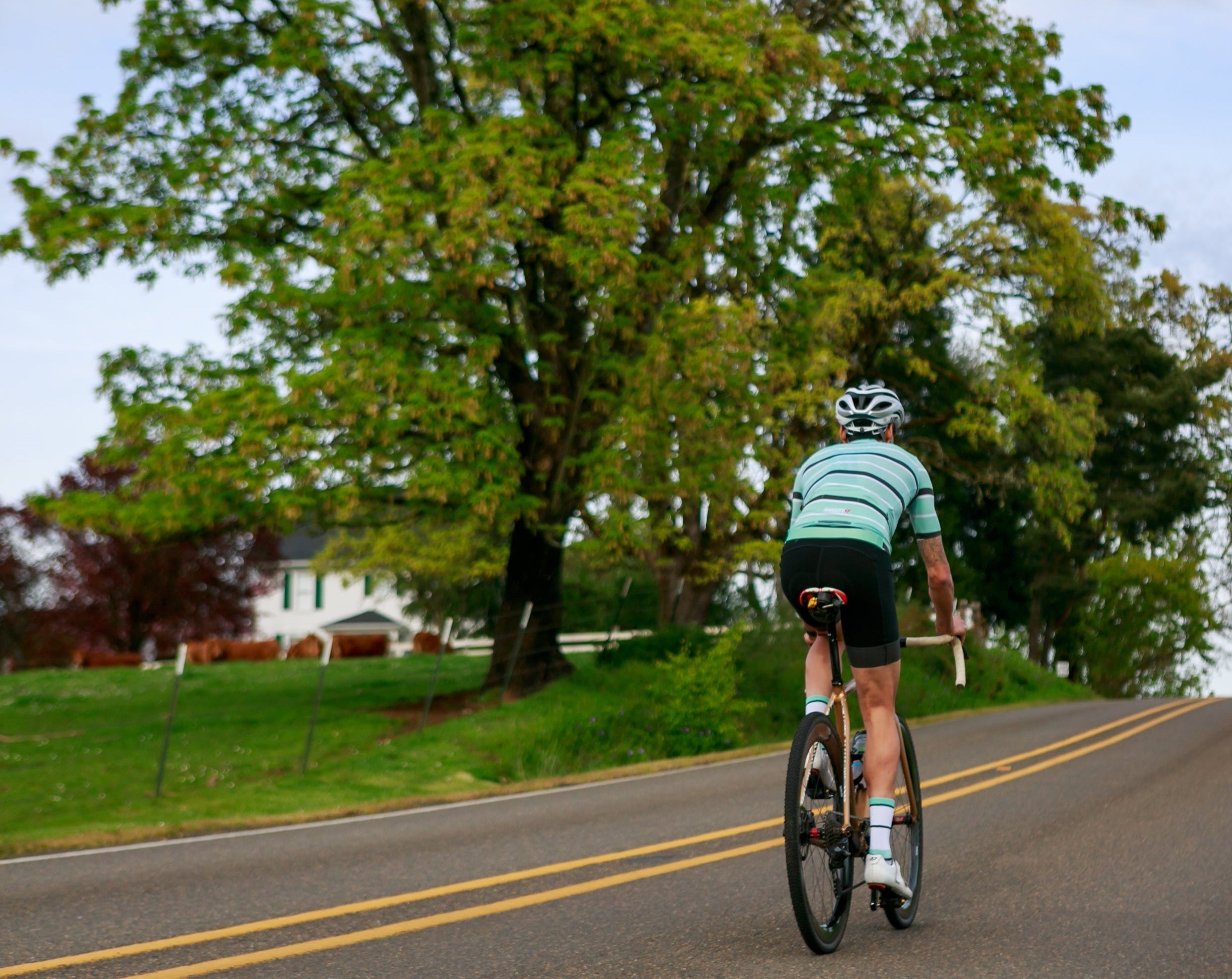 NOW ON SALE!!!  ProSpec Rouleur Sock | Squadra Stripes | White/Celeste Green/Obsidian Black-5