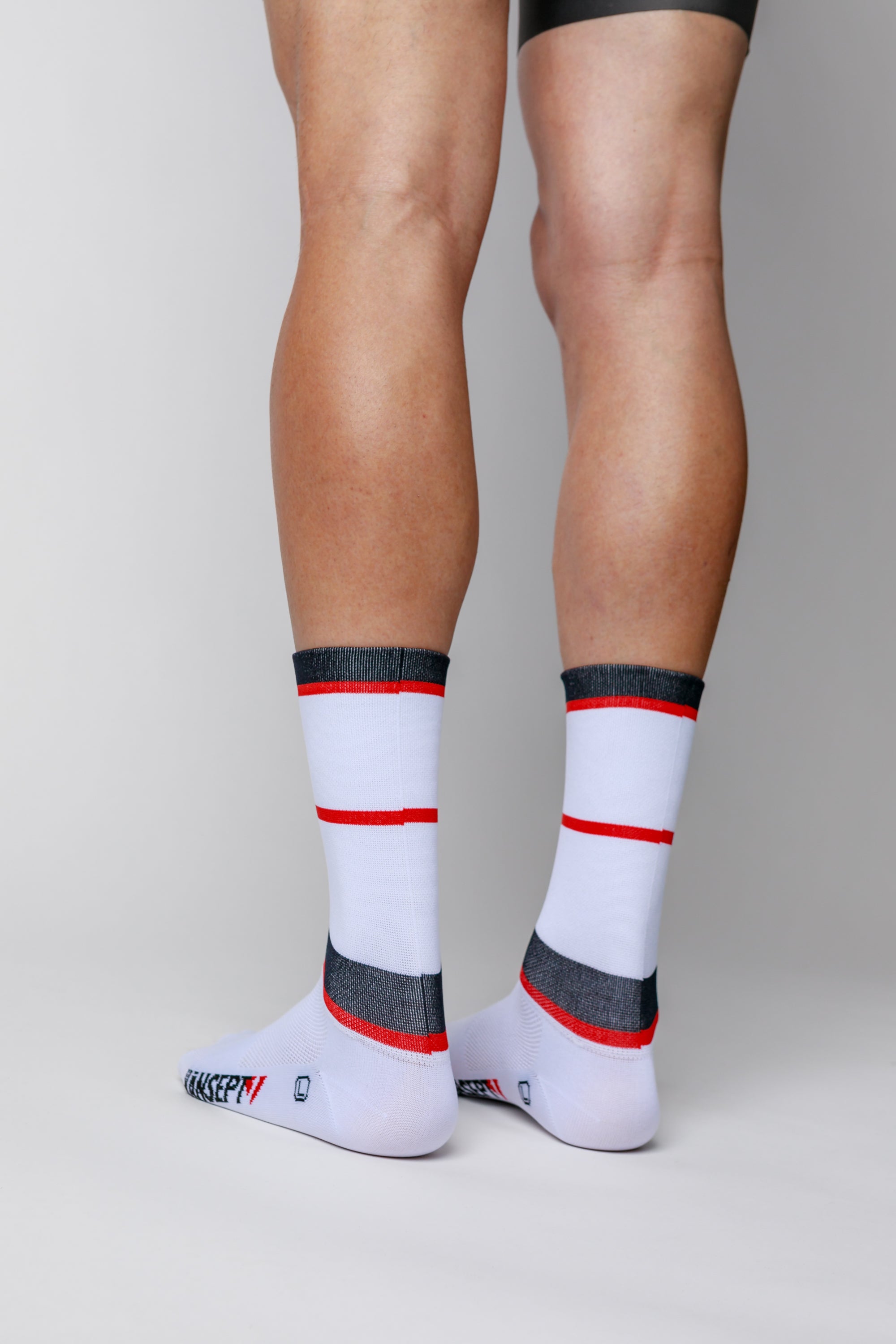 NOW ON SALE!!!  ProSpec Rouleur Socks | Squadra Stripes | White/Midnight Blue/Flamme Rouge Red-2
