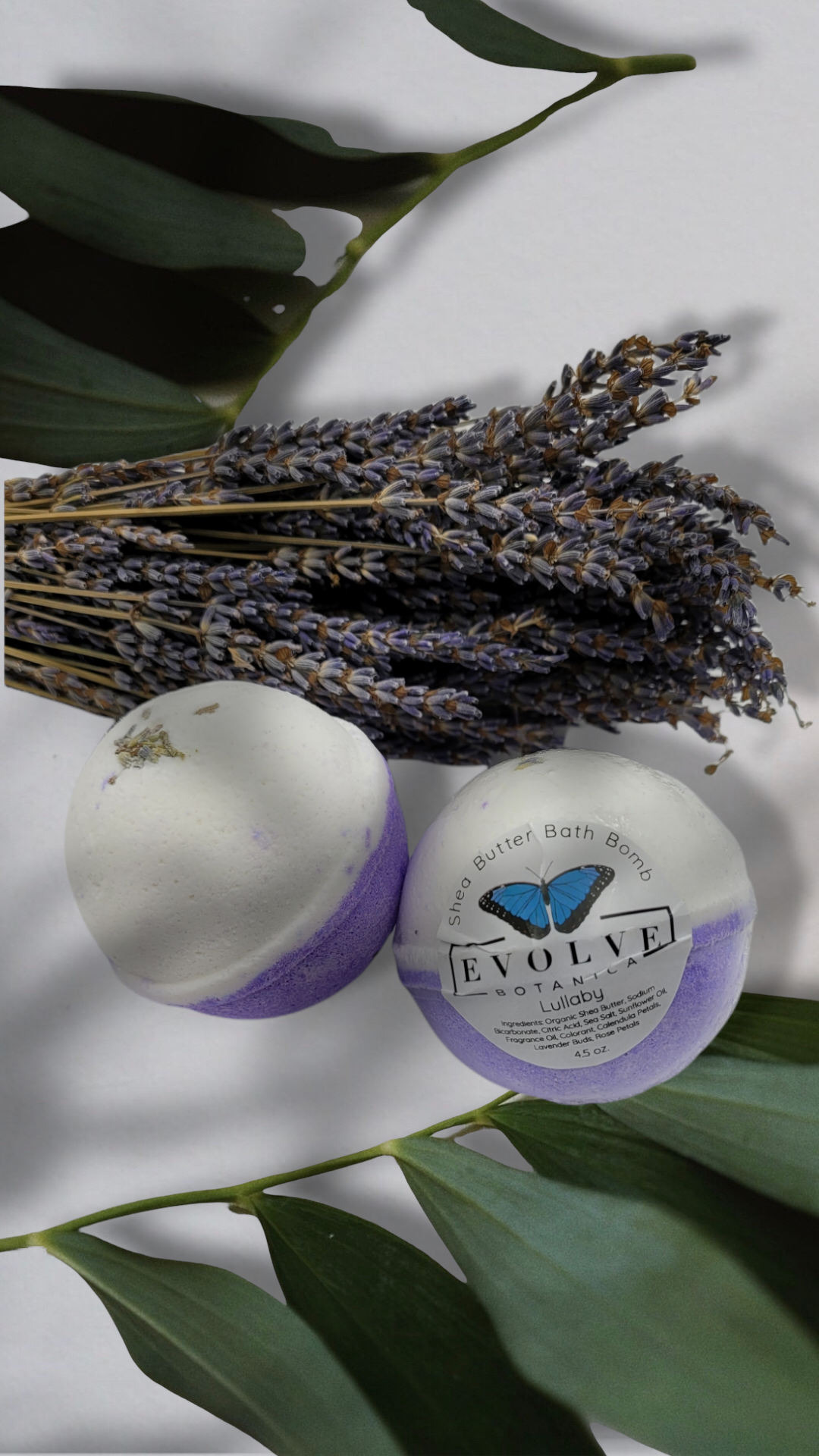 Bath Bomb - Lullaby-2