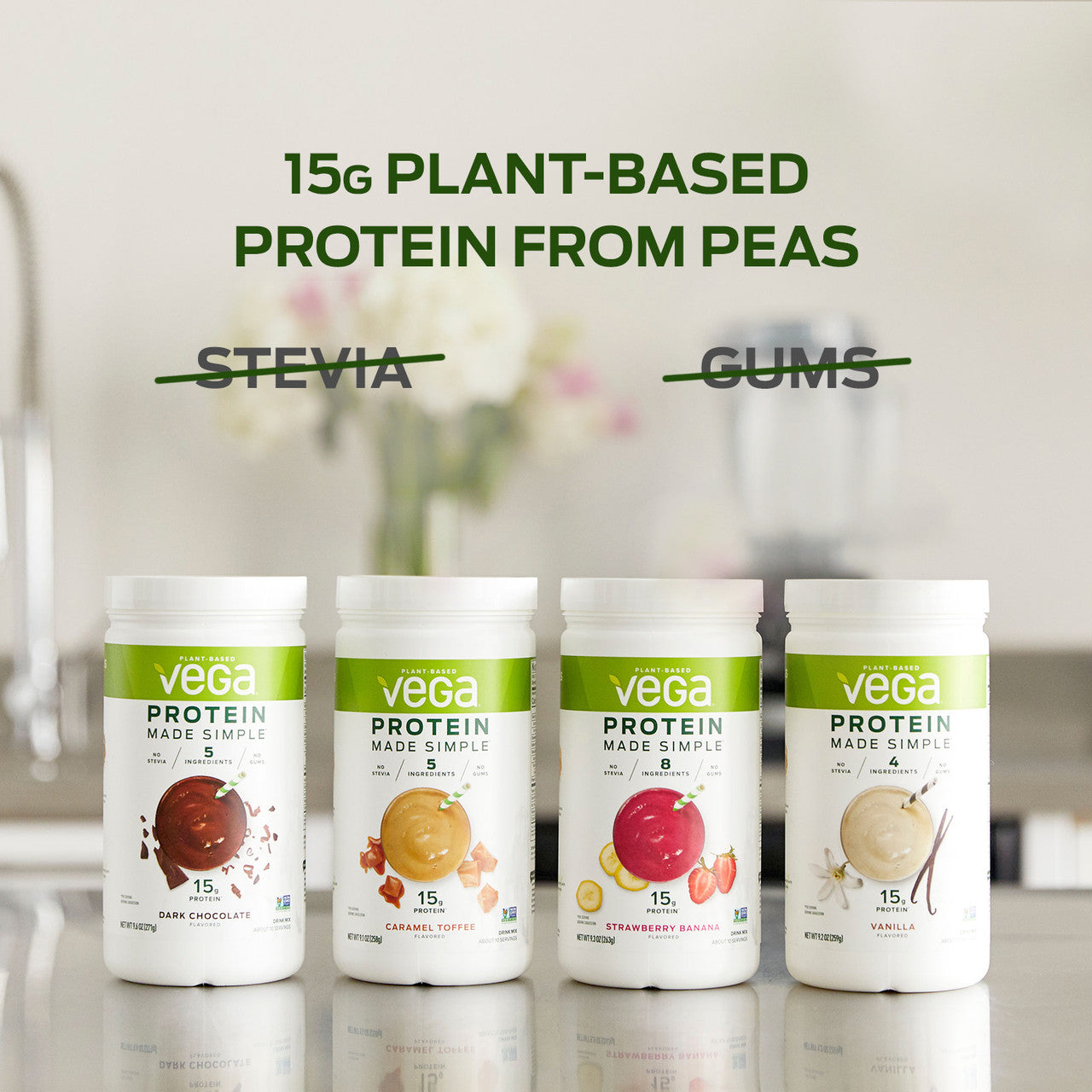 VEGA PRTN DRINK MIX VAN ( 1 X 9.2 OZ )-3