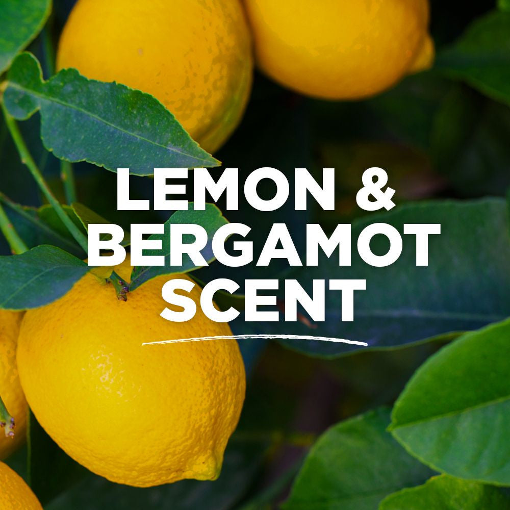 TOM LEM BERGMNT WMN DEOD (1x2.25)-2