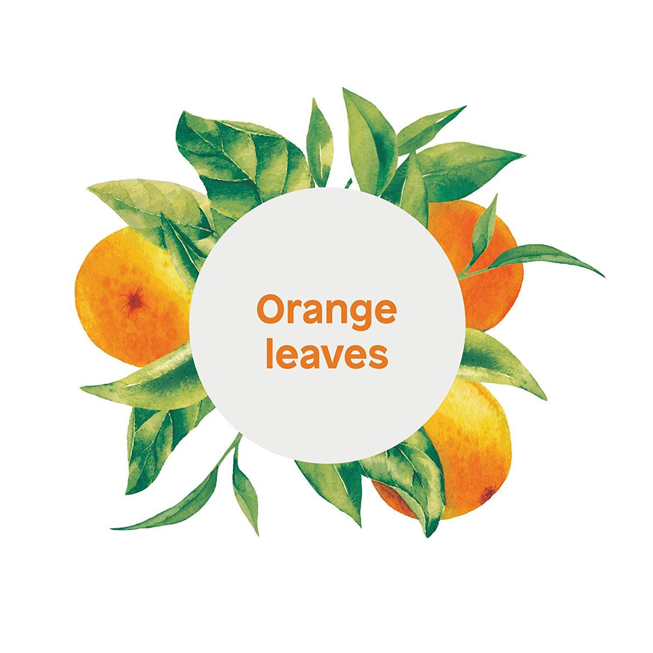 ATITUD HND/SP ORNGE LVES ( 1 X 16 OZ   )-3