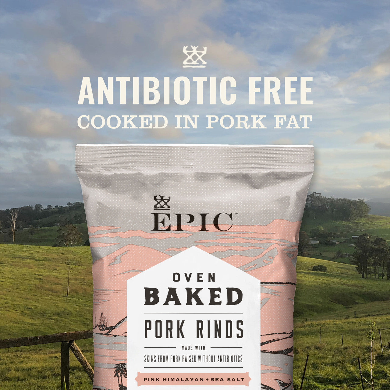 EPIC BK PK RND HIM SSALT ( 12 X 2.5 OZ )-2