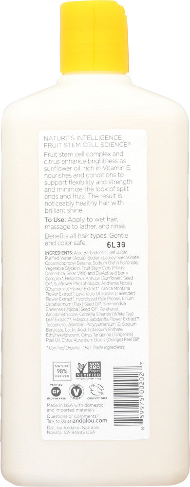 Andalou Naturals Healthy Shine Sunflower & Citrus Shampoo (1x11.5 Oz)-1