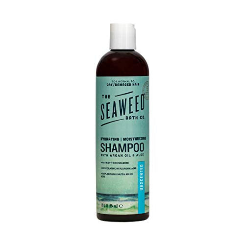 SBC SHAMP MOIST UNSCNT ( 1 X 12 OZ   )-0