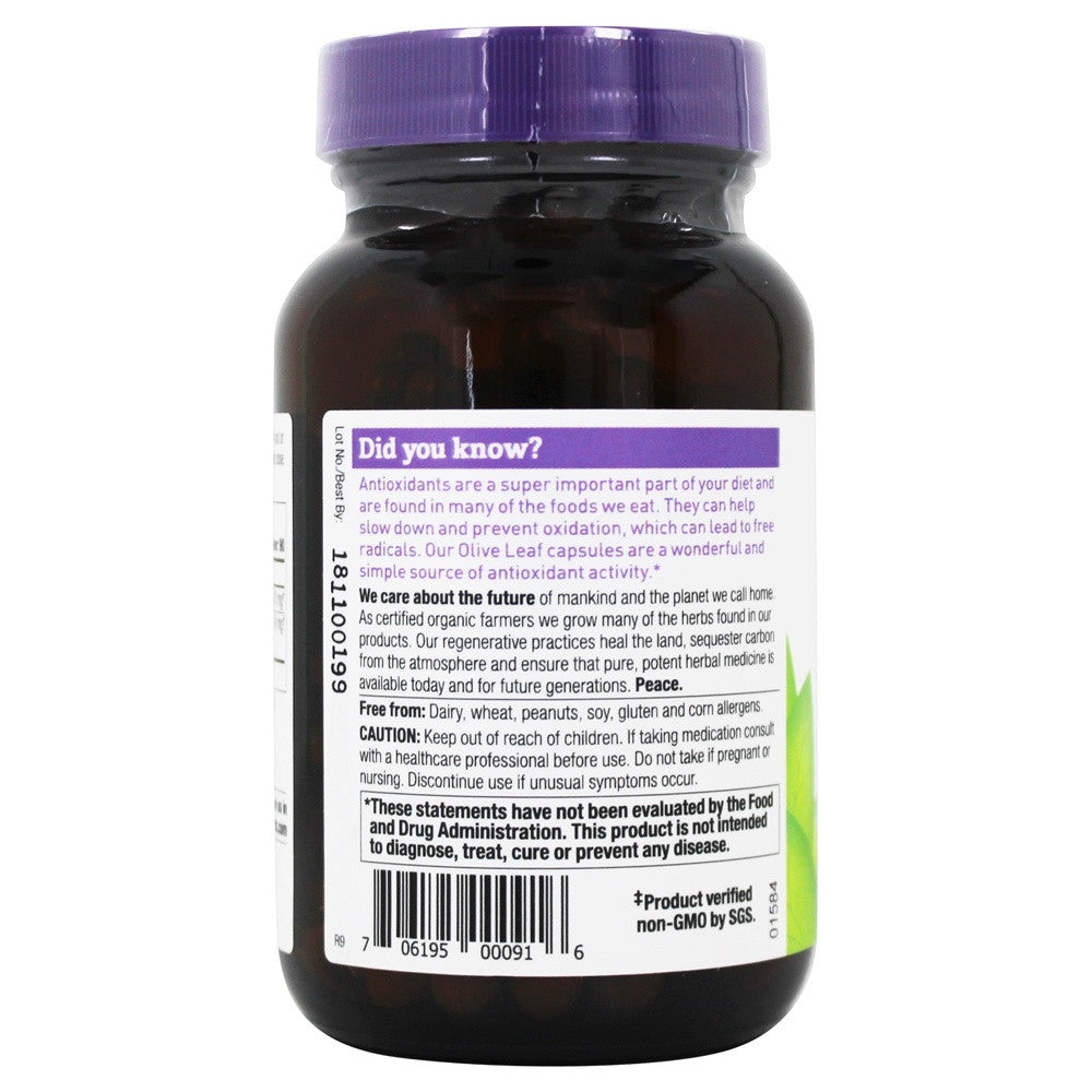 Oregon's Wild Harvest Olive Leaf 18%Oleuro (1x90VCAP)-2