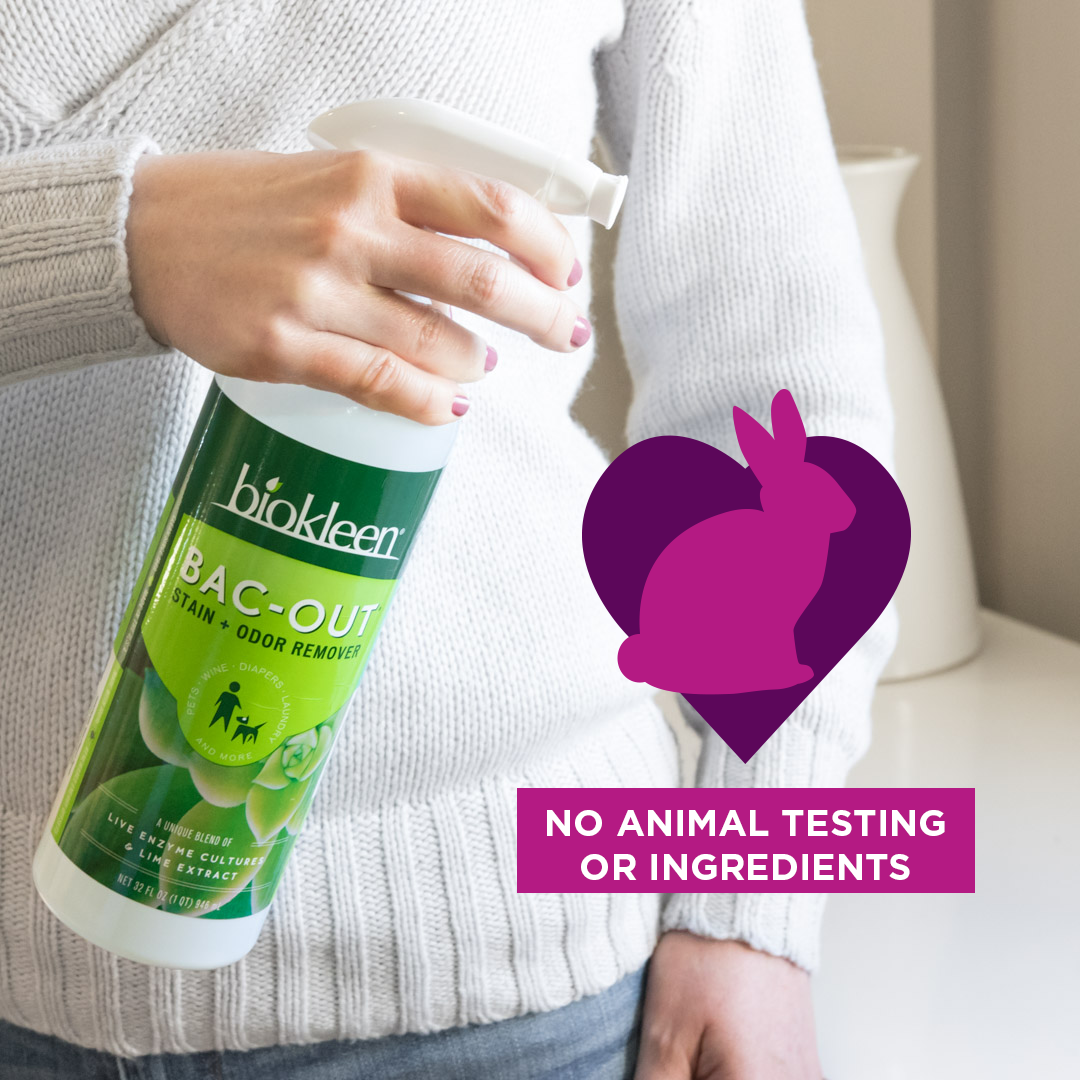 BK STAIN+ODOR RMVR,B/O ( 6 X 32 OZ   )-3