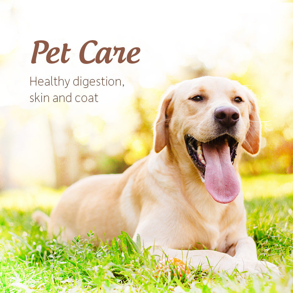 OG2 GOL RW XVRG CNUT OIL ( 6 X 14 OZ   )-10