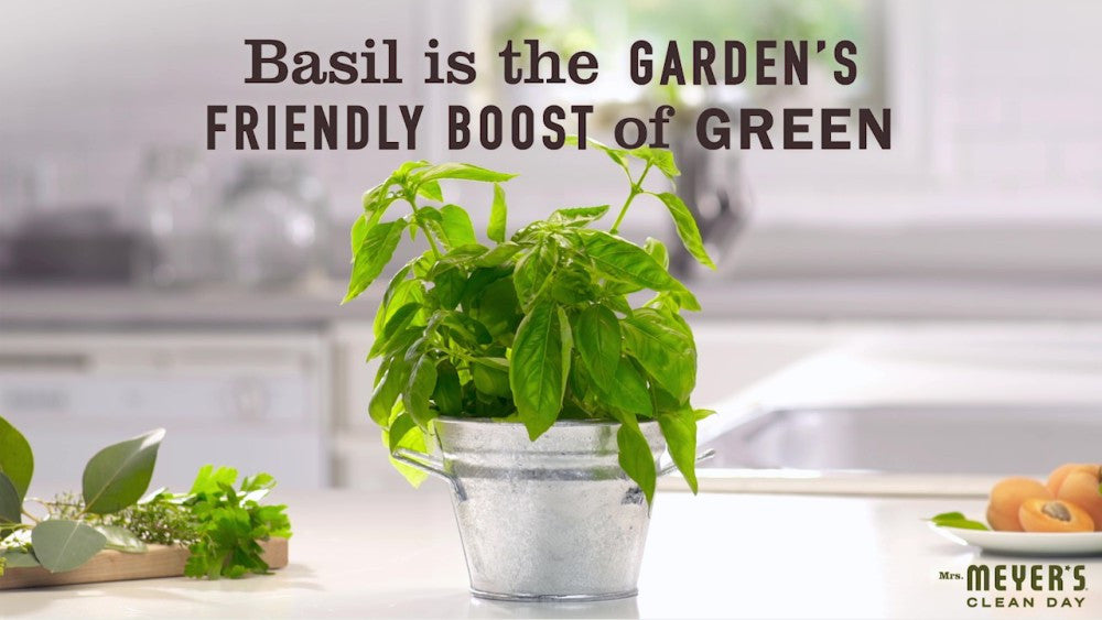 Meyers Basil Liquid Hand Soap (6x12.5 Oz)-10