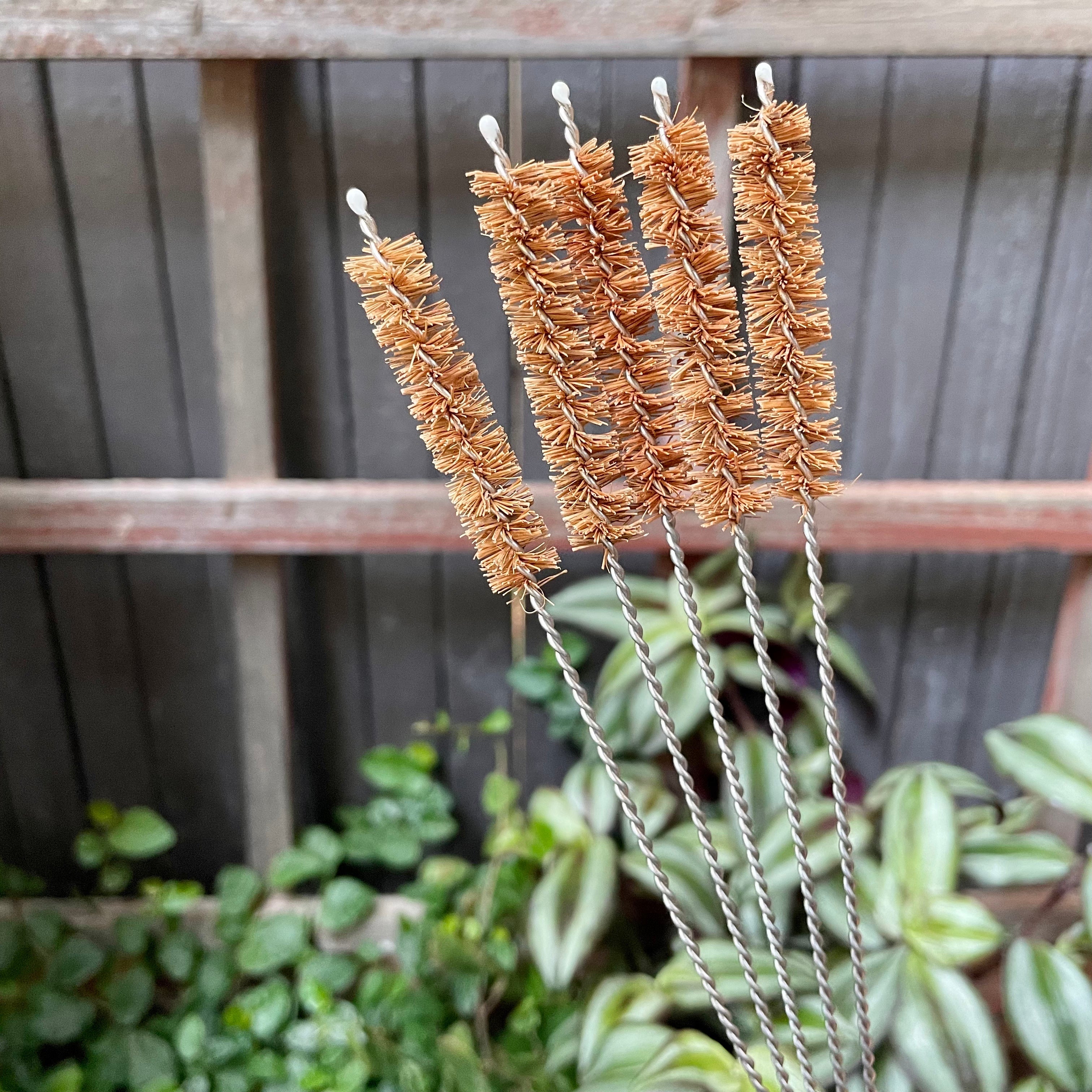 Coconut Fiber Straw Brushes-3