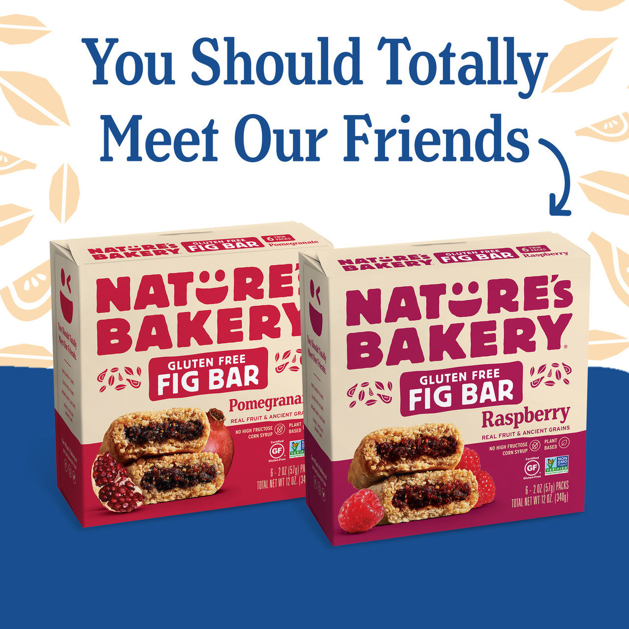 NAT BKRY FIG BR BLBRY GF ( 6 X 6 PACK )-9