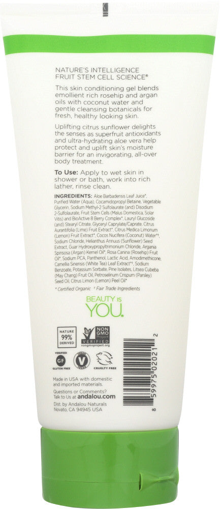 A.N CIT SNFLWR SHWR GEL  ( 1 X 8.5 OZ   )-2