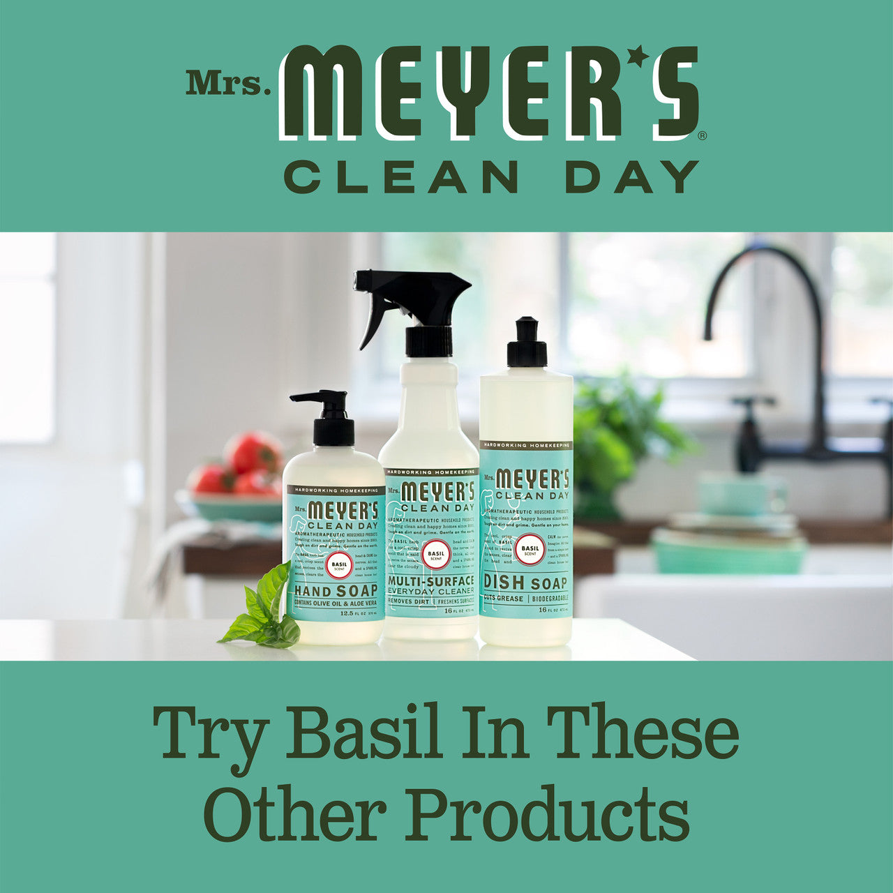 Meyers Basil Liquid Hand Soap (6x12.5 Oz)-9