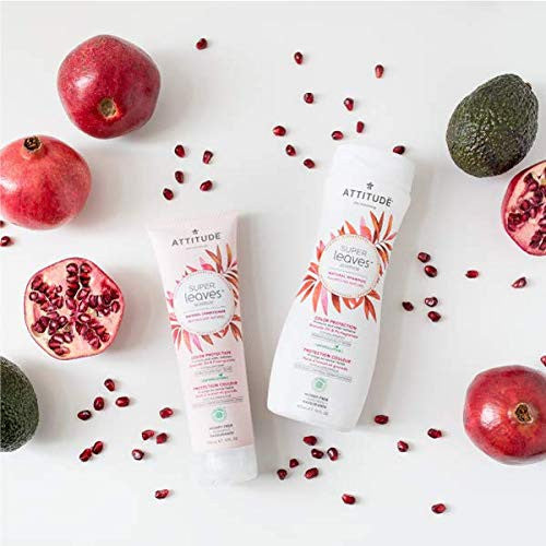 ATITUD SHAMP CLR PROTECT ( 1 X 16 OZ   )-2