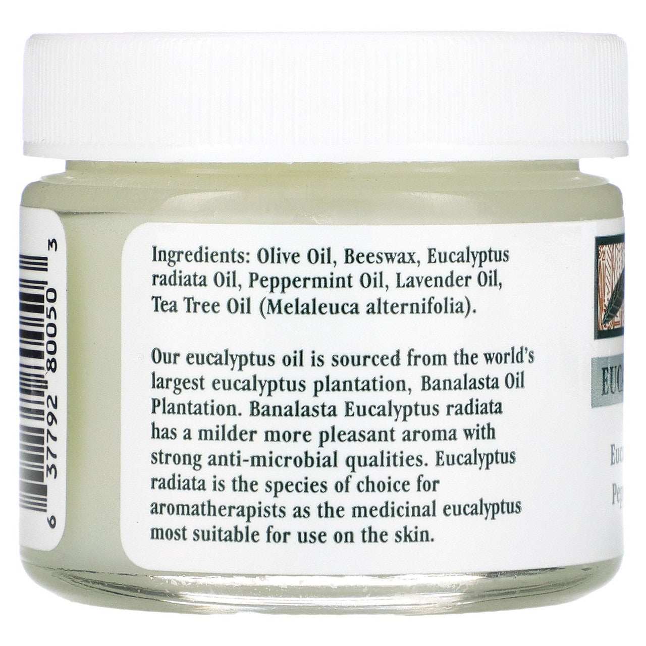 Tea Tree Therapy Eucalyptus Chest Rub (1x2 Oz)-1