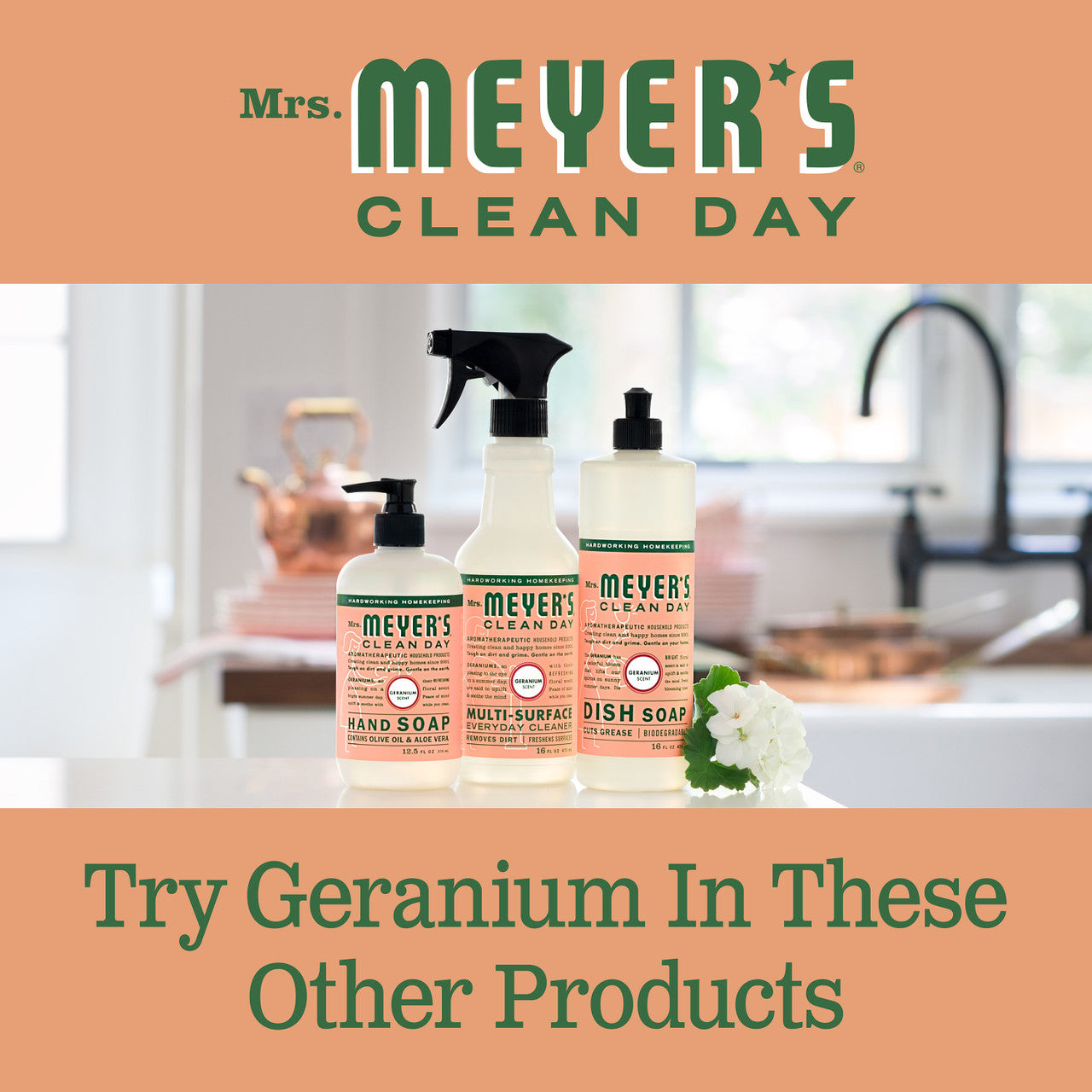 Meyers Geranium Liquid Dish Soap (6x16 Oz)-2