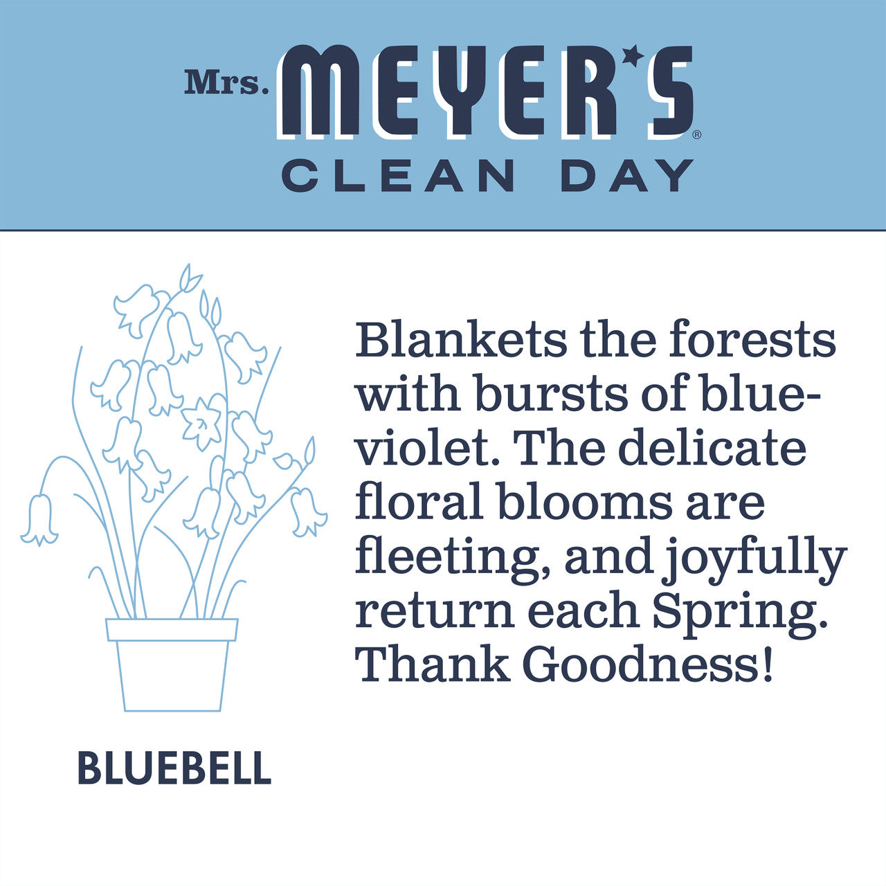 Mrs. Meyers Bluebell Liquid Dishwashing Soap (6x16 Oz)-8