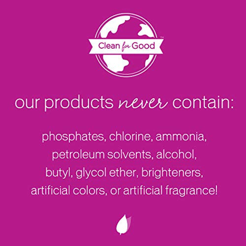 BK DISH SOAP PWDR,FR/CLR ( 6 X 2 LB   )-2